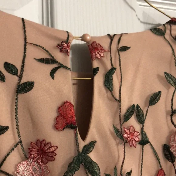 Baltic Born Duchess Embroidered Tulle Puff Sleeve Midi Dress in Rose Garden - Picture 14 of 14